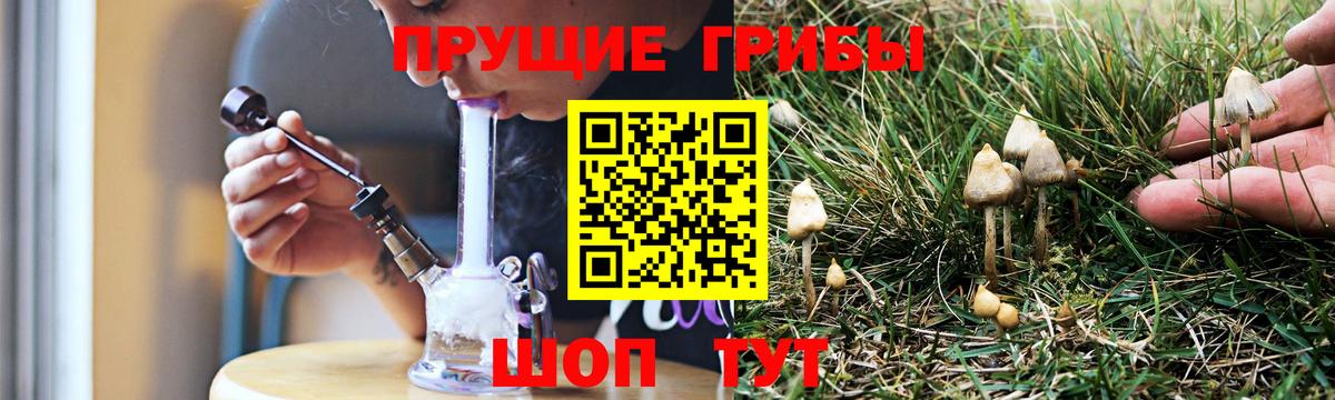 закладка  Вход с VPN  Усолье-Сибирское  Псилоцибиновые грибы MAGIC MUSHROOMS 