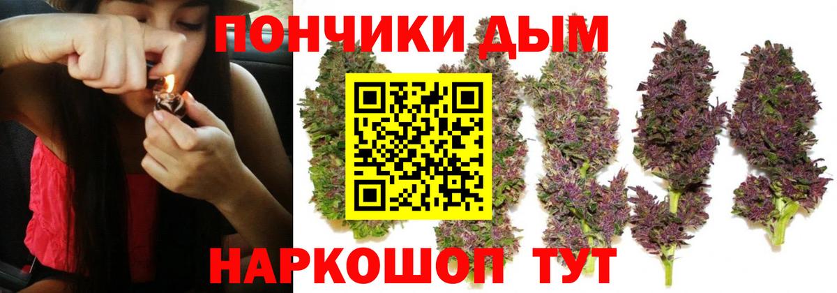 Канабис план  Бошки Шишки THC 21%  Вход с VPN  МАРИХУАНА сатива  Усолье-Сибирское  Марихуана конопля 